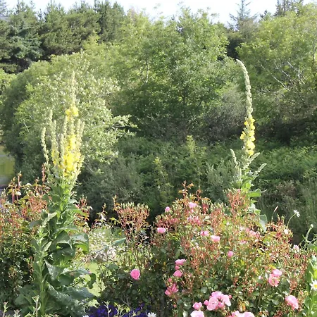 Beautiful Stone Riverside Retreat Galway