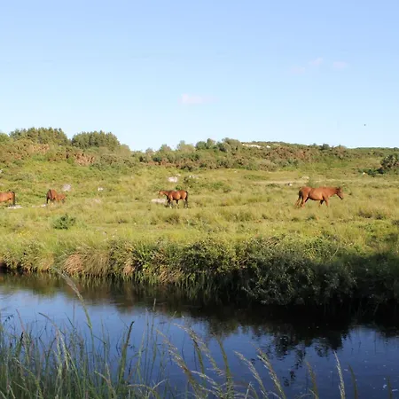 Beautiful Stone Riverside Retreat Casa vacanze Galway